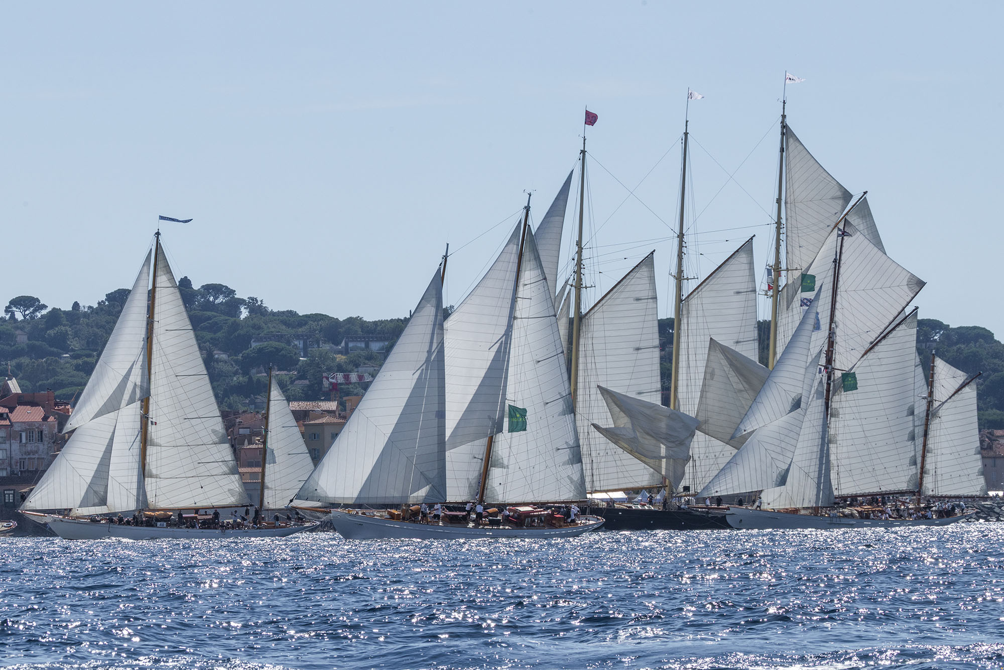 Gréements et voiles déployées lors de la régate de Saint-Tropez